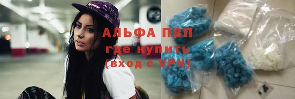 сатива Михайловка