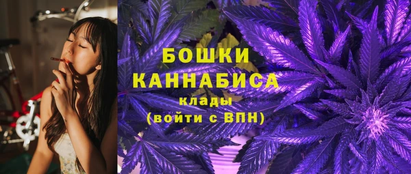 шишки Михайловск