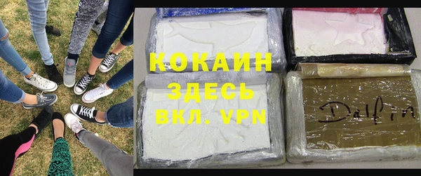 сатива Михайловка