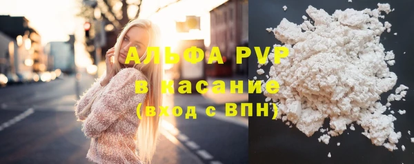 шишки Михайловск