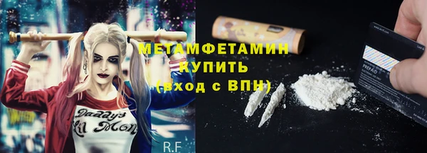 шишки Михайловск