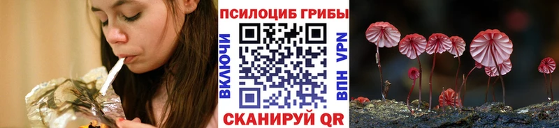 Купить где  Катайск  Псилоцибиновые грибы прущие грибы 